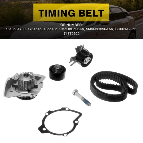 Timing belt water - timing,